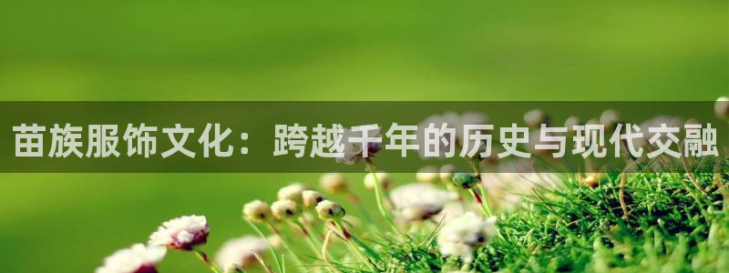 意昂体育3招商电话