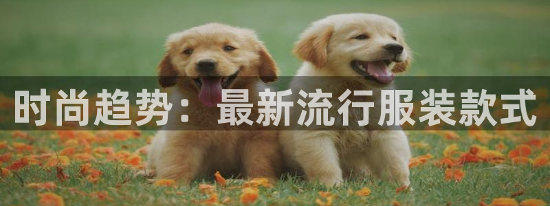 海南意昂体育3