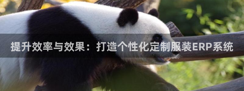 意昂体育3平台假的吗是真的吗吗