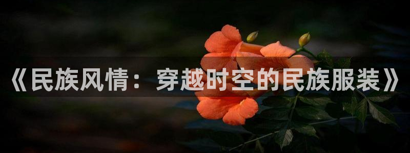 意昂体育3招商电话