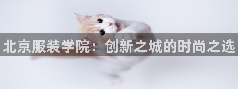 意昂体育3官方客服电话